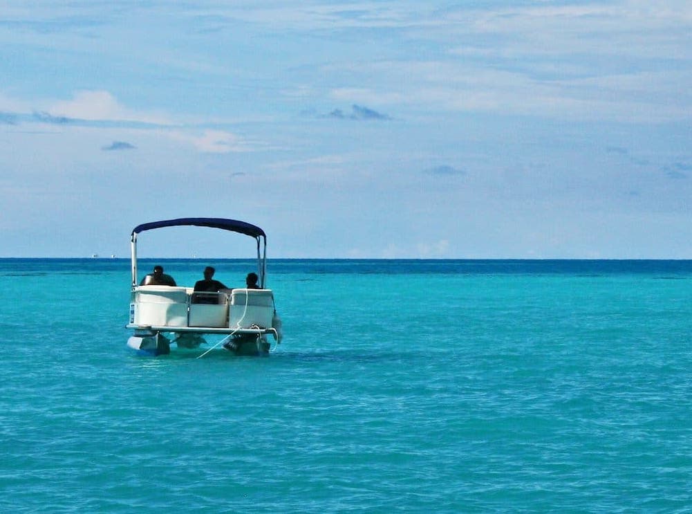 Half-Day Pontoon Boat Adventure