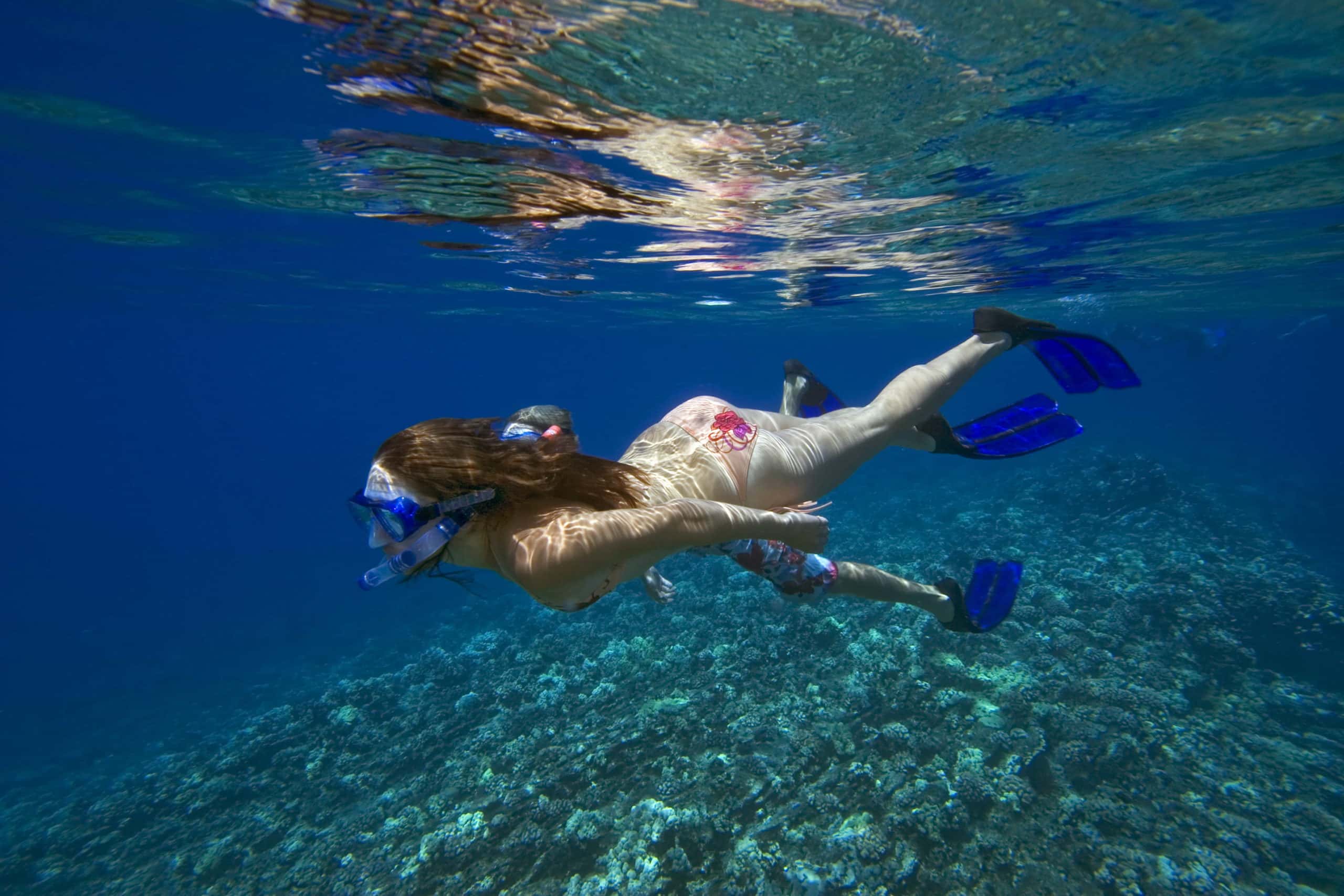 Snorkeling Off the Coast of Lanai